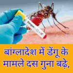 Dengue cases in Bangladesh increase ten times, deaths 3 times: expert